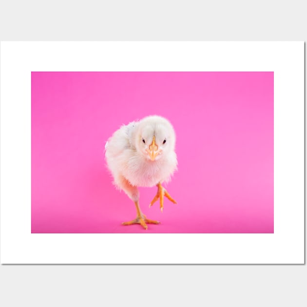 Chick Wall Art by kawaii_shop